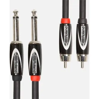 Roland RCC-10-2R28 Interconnect - 2RCA to 2TS 10ft RCC102R28