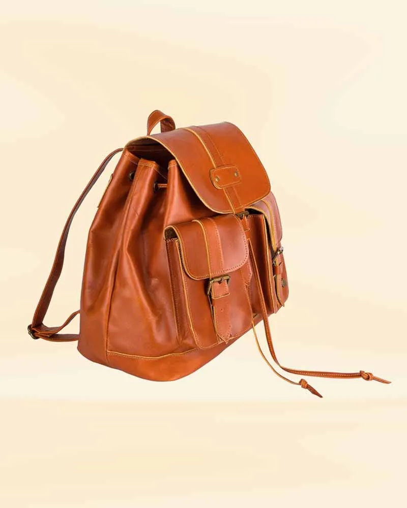 The Pricy Stylish Trending Backpack